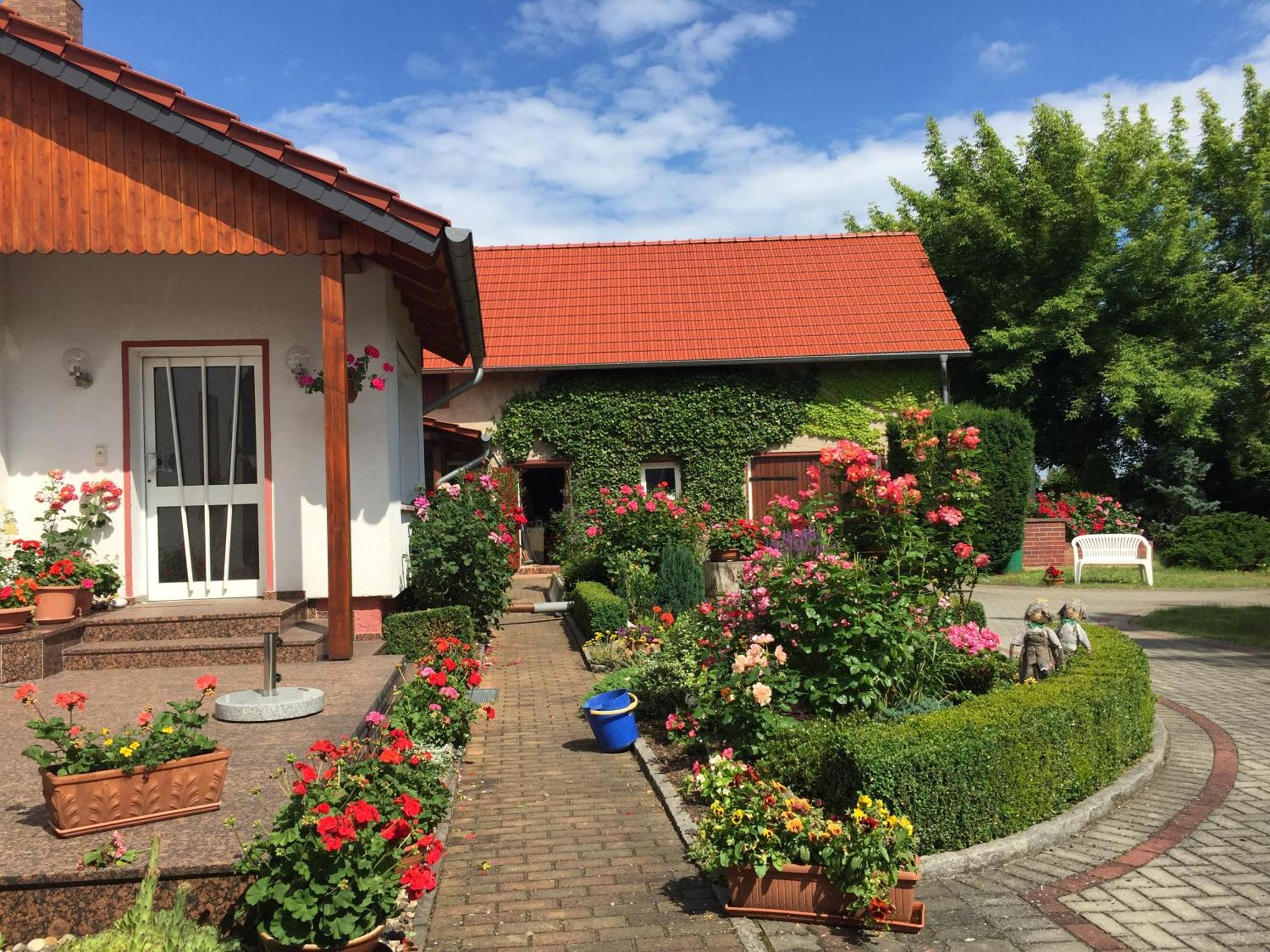 Top-Moderne Ferienwohnung Und Apartments Auf Frueherem Wunderschoenen Bauernhof Im Elbe-Elster-Kreis In Brandenburg Bei Herzberg-Elster, Schoenewalde, Holzdorf Exterior photo